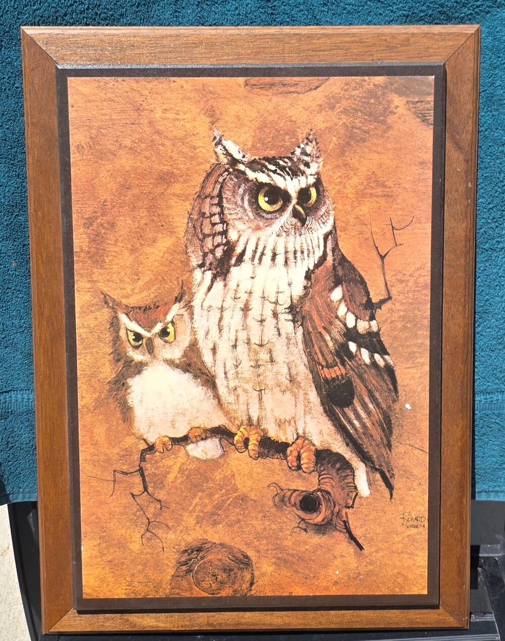 Screech Owls Richard Hinger Framed Art Print Owl & Baby 21 x 15"